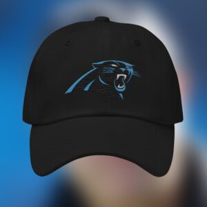 Panthers David Tepper Hat 1