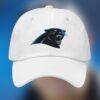 Panthers David Tepper Hat 2
