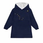 Alaskan Flag Alaska Pride Northern Lights Blanket Hoodie