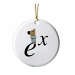 Chill Guy Exponential Function Xmas Ornament
