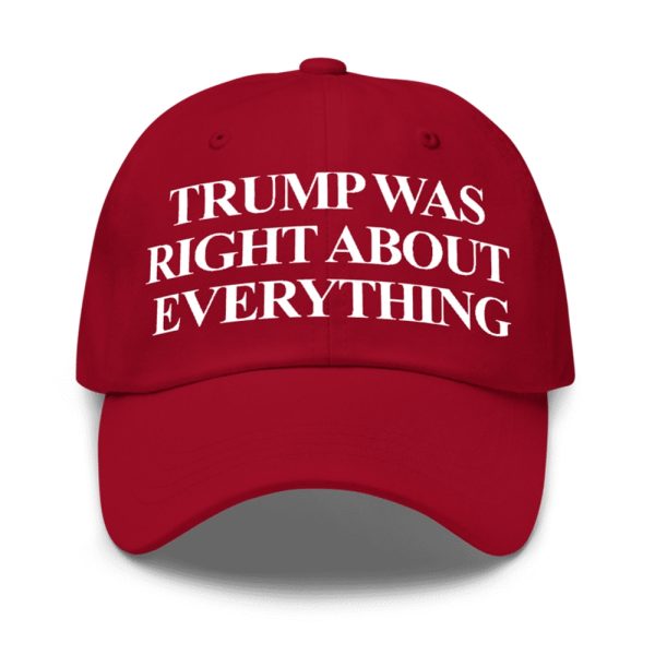 Donald Trump Was Right About Everything Hat 1