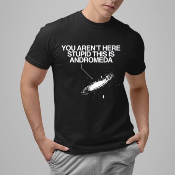 You Aren't Here Stupid This Is Andromeda Shirt